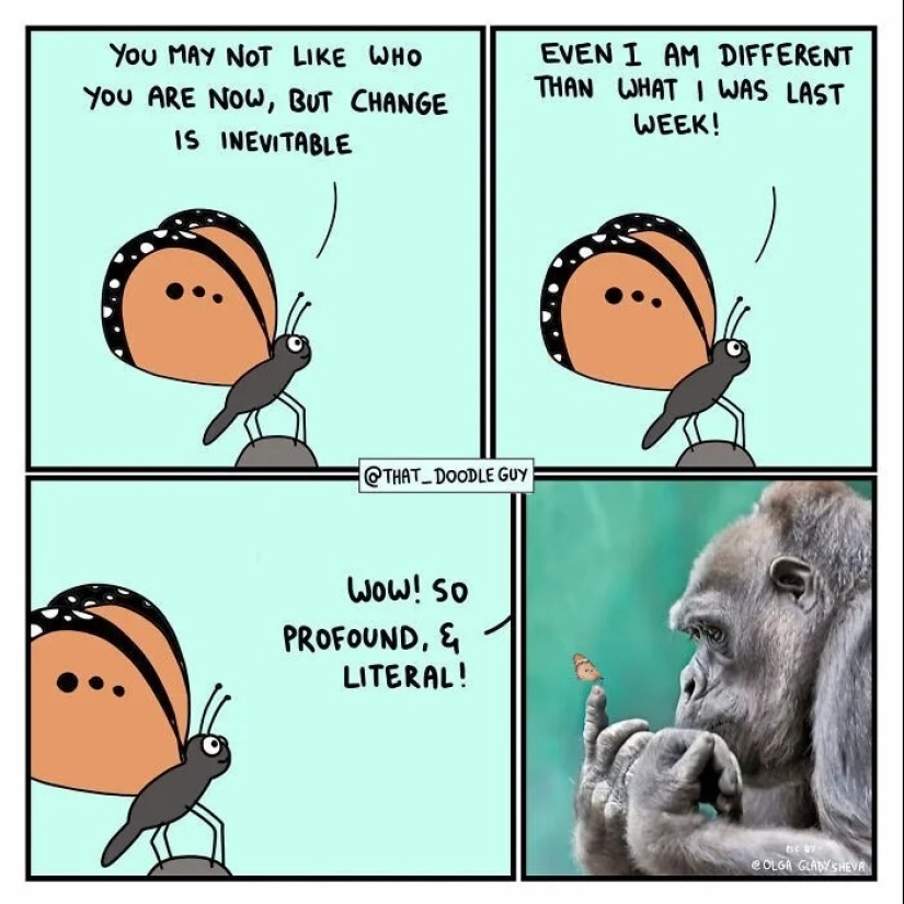 25 cute comics based on photo memes about animals