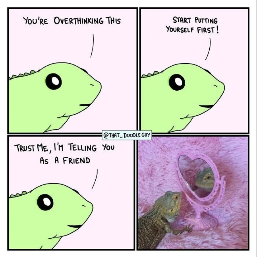 25 cute comics based on photo memes about animals