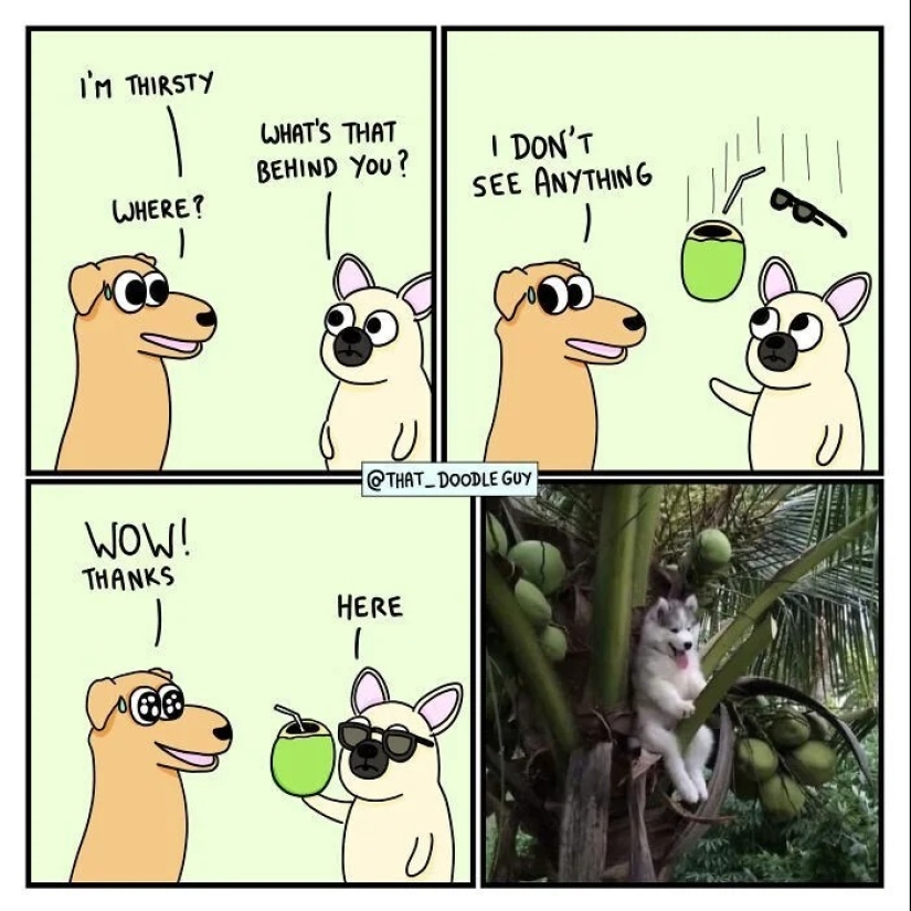 25 cute comics based on photo memes about animals