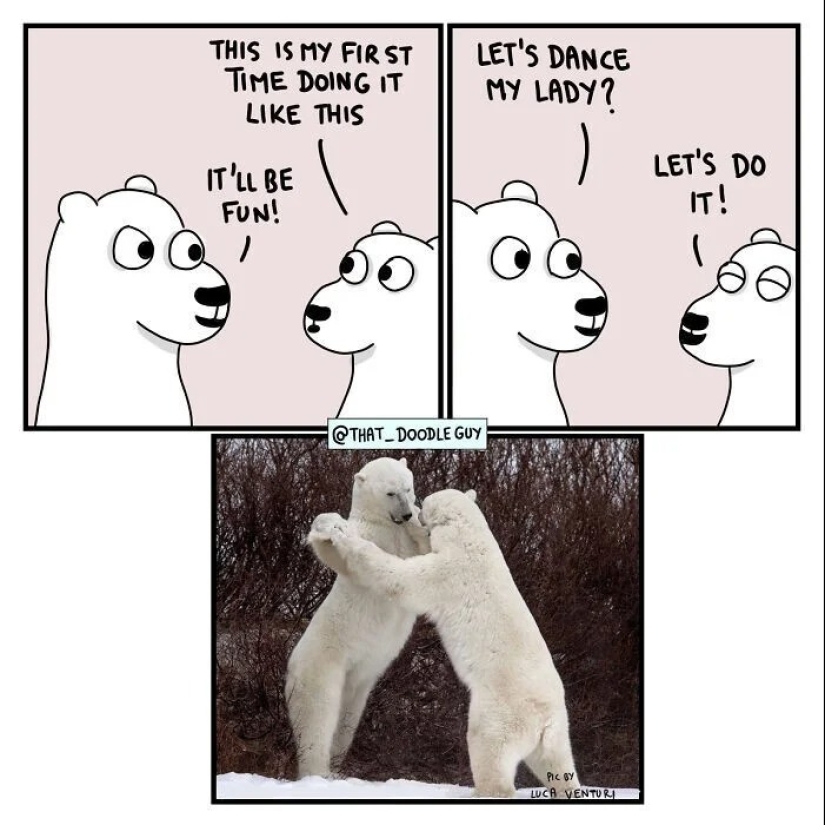 25 cute comics based on photo memes about animals