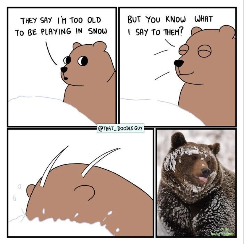 25 cute comics based on photo memes about animals