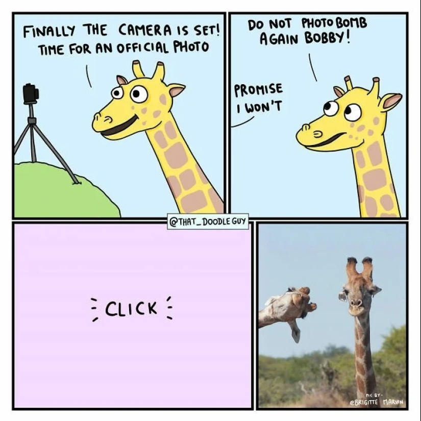 25 cute comics based on photo memes about animals
