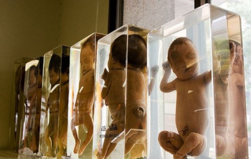 25 de los museos más extraños del mundo.