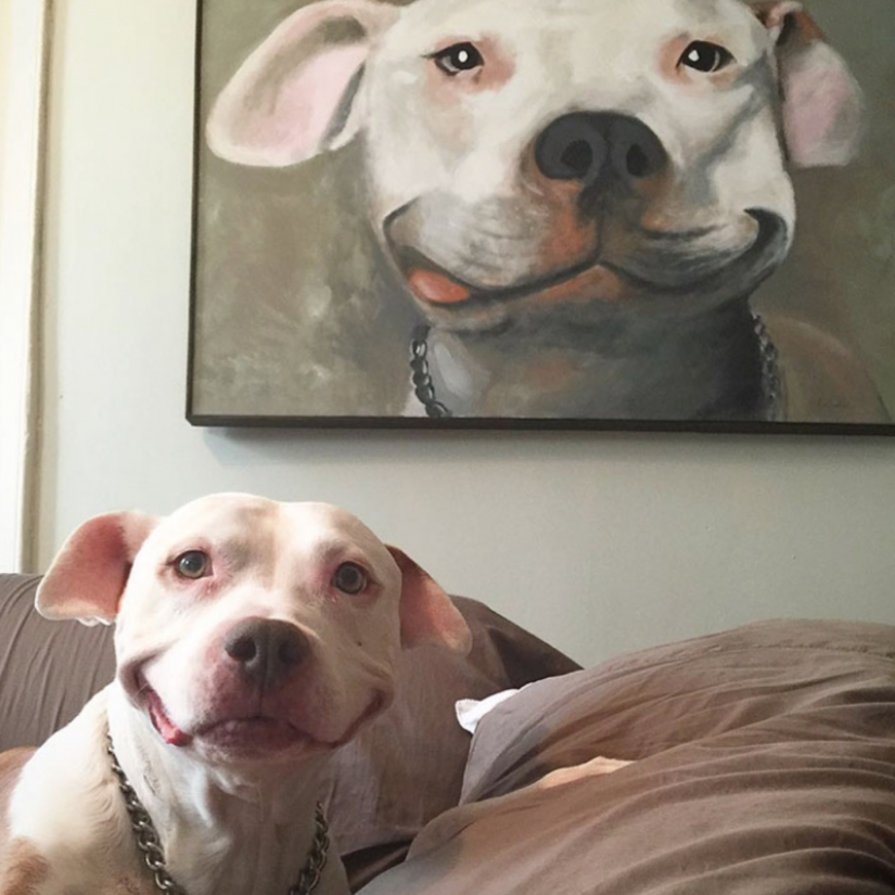 25 dogs that will make your day happier
