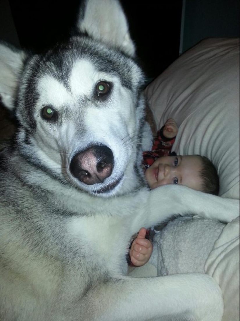 25 dogs that will make your day happier