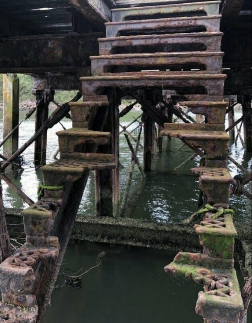 25 ejemplos impresionantes que demuestran la influencia despiadada del tiempo 25 ejemplos impresionantes que demuestran la influencia despiadada del tiempo