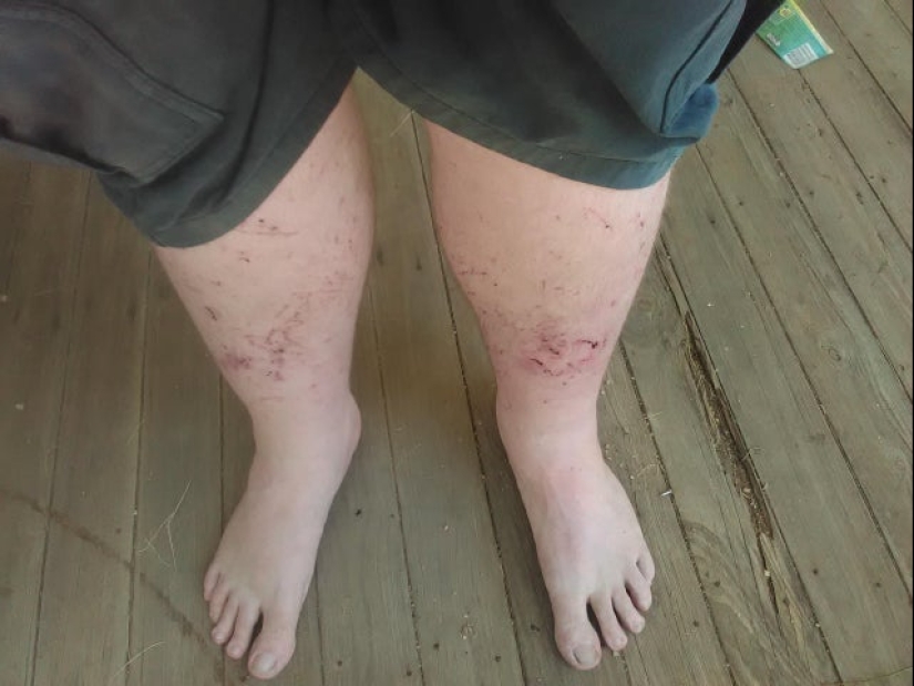 25 ejemplos notables de lo que significa, "mal día" 25 ejemplos notables de lo que significa, "mal día"