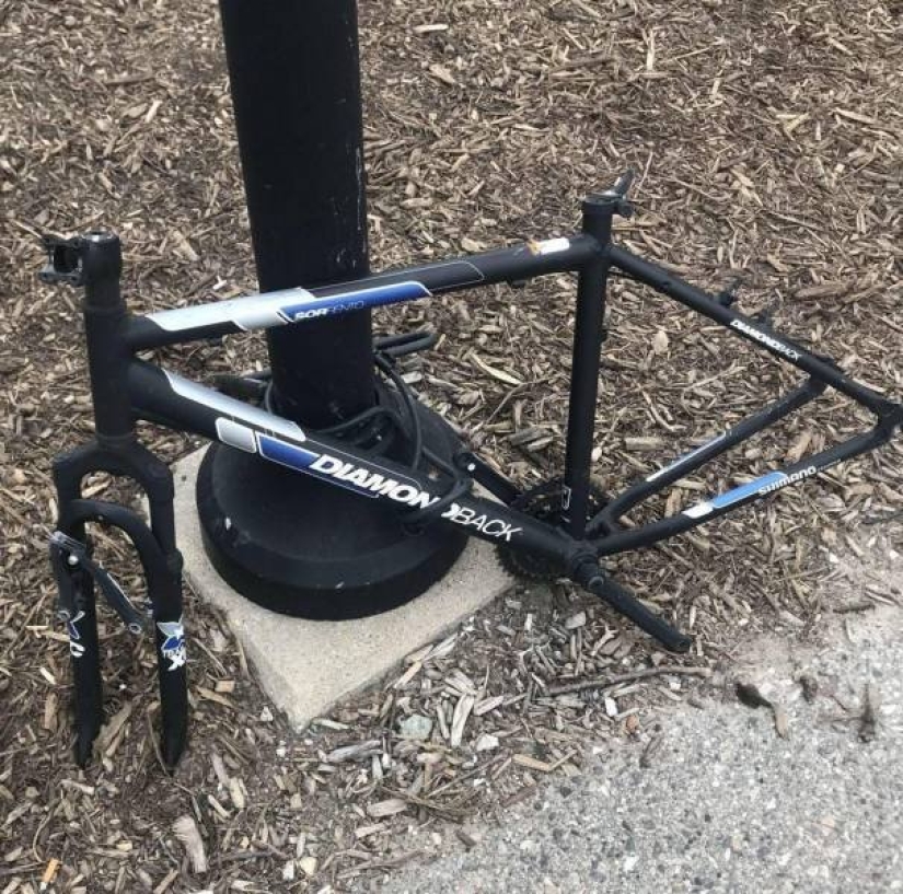 25 ejemplos notables de lo que significa, "mal día" 25 ejemplos notables de lo que significa, "mal día"