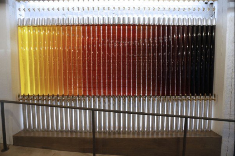 25 fotos de las cuales los artistas visuales tendrán un orgasmo estético