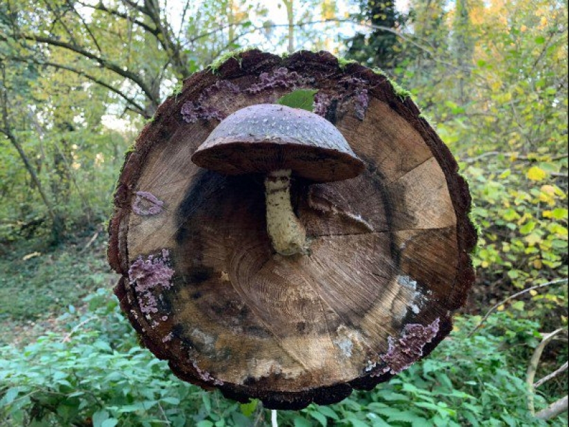 25 fotos de las cuales los artistas visuales tendrán un orgasmo estético