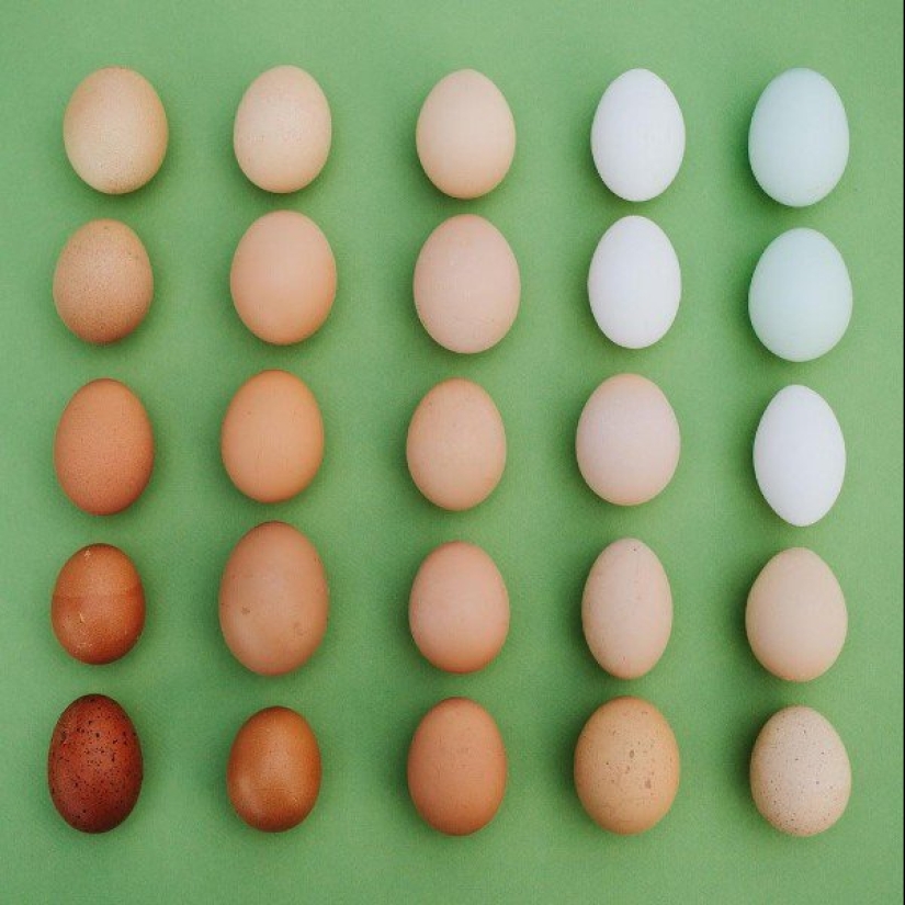 25 fotos de las cuales los artistas visuales tendrán un orgasmo estético