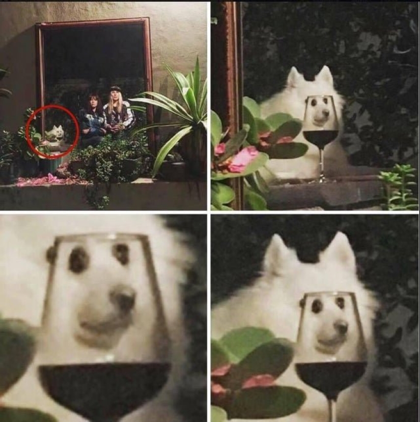 25 fotos donde toda la diversión que sucede en el fondo 25 fotos donde toda la diversión que sucede en el fondo