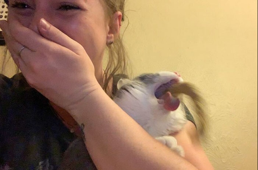 25 fotos increíbles tomadas en el momento adecuado 25 fotos increíbles tomadas en el momento adecuado