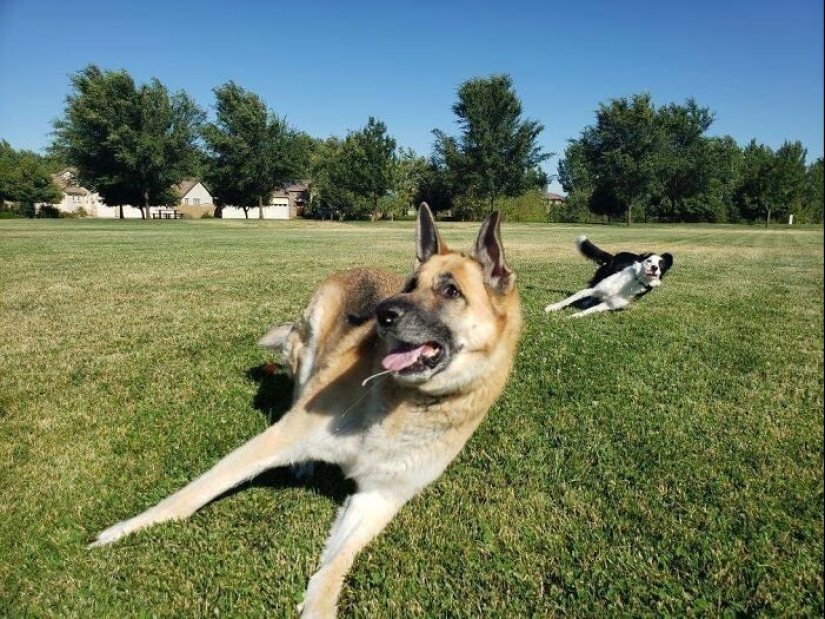 25 fotos increíbles tomadas en el momento adecuado 25 fotos increíbles tomadas en el momento adecuado