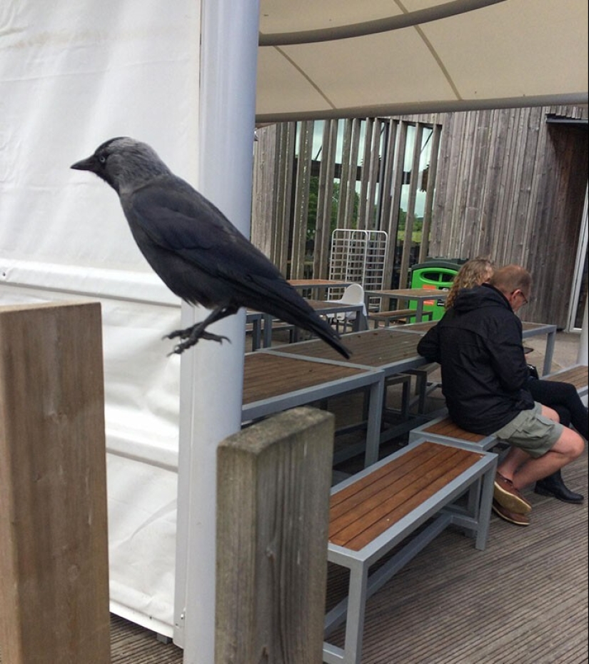 25 fotos increíbles tomadas en el momento adecuado 25 fotos increíbles tomadas en el momento adecuado