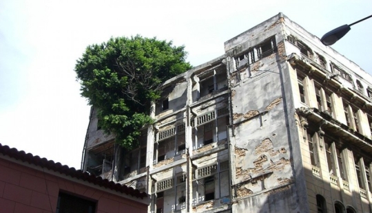 25 fotos que la naturaleza es la más fuerte