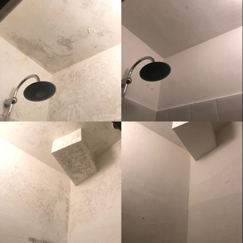 25 fotos que querrás limpiar después de ver