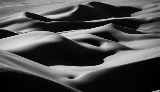 25 fotos que vas a tener que mirar dos veces