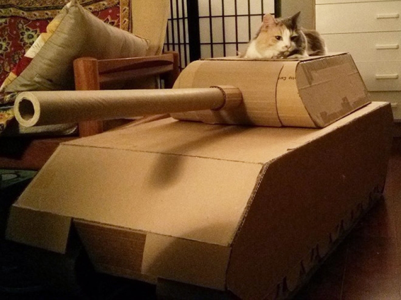 25 funny photos of cats in cardboard tanks that captured social networks 25 funny photos of cats in cardboard tanks that captured social networks