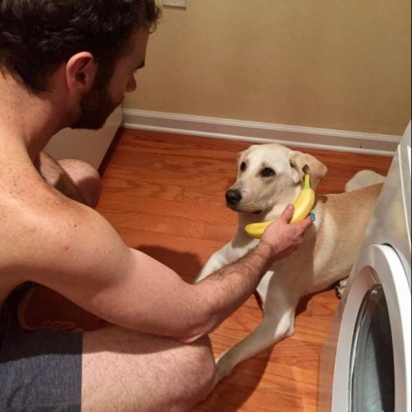 25 funny, strange and stupid actions of drunk people