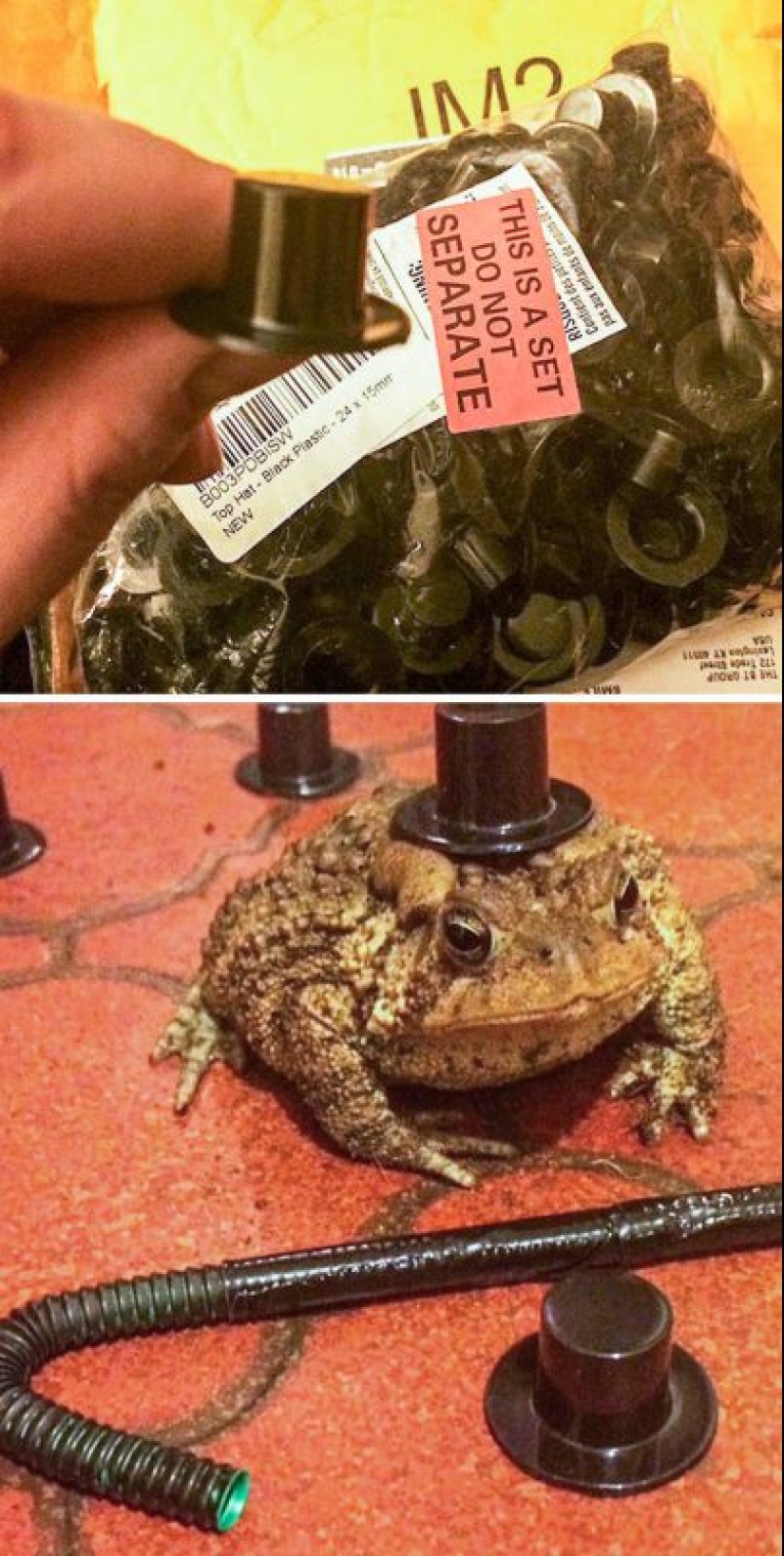 25 funny, strange and stupid actions of drunk people