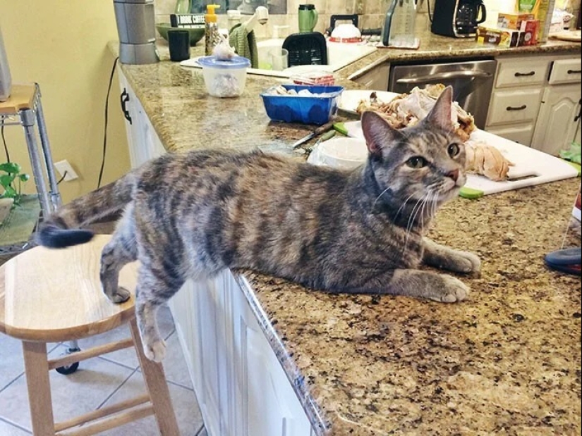 25 genios que derrotaron al sistema siguiendo las reglas