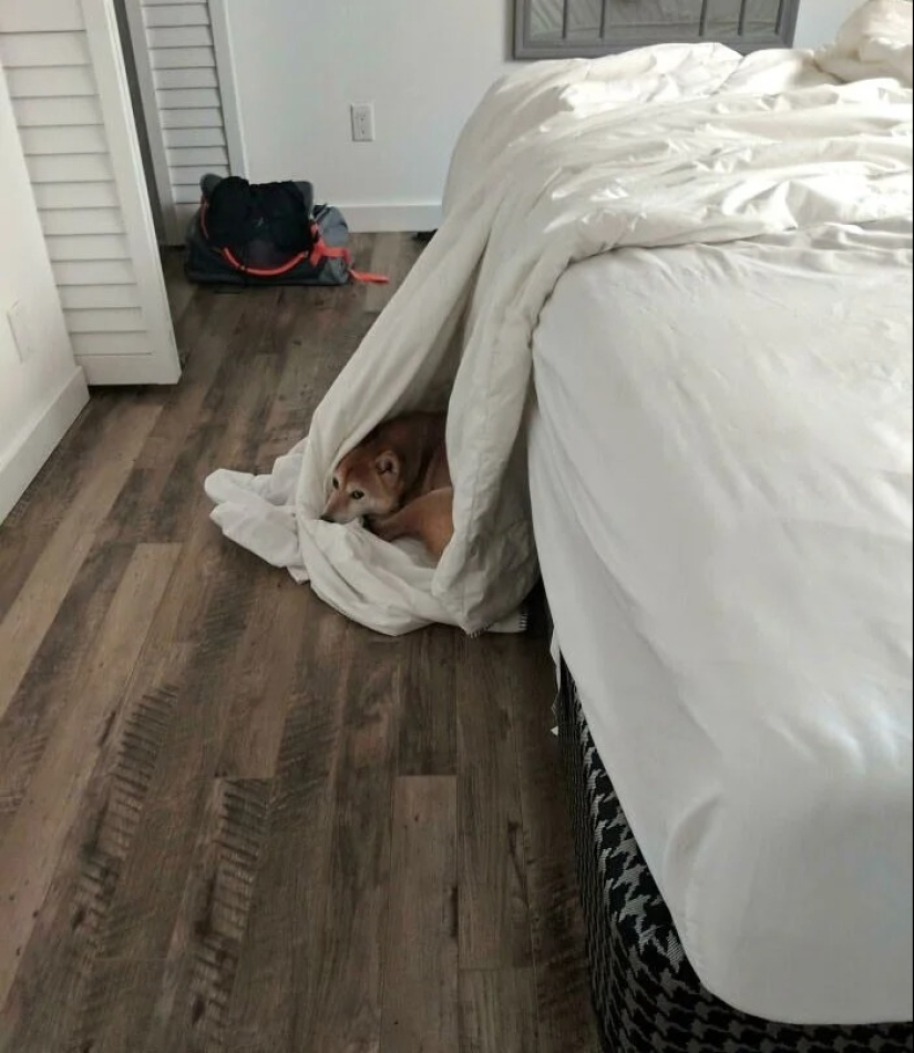 25 geniuses who defeated the system by following the rules