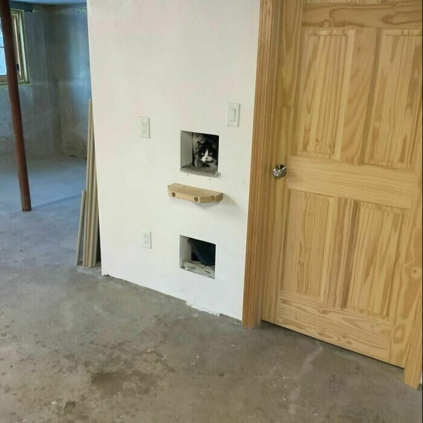 25 imágenes del Fondo de vivienda de los inspectores, que han visto un montón de interesantes