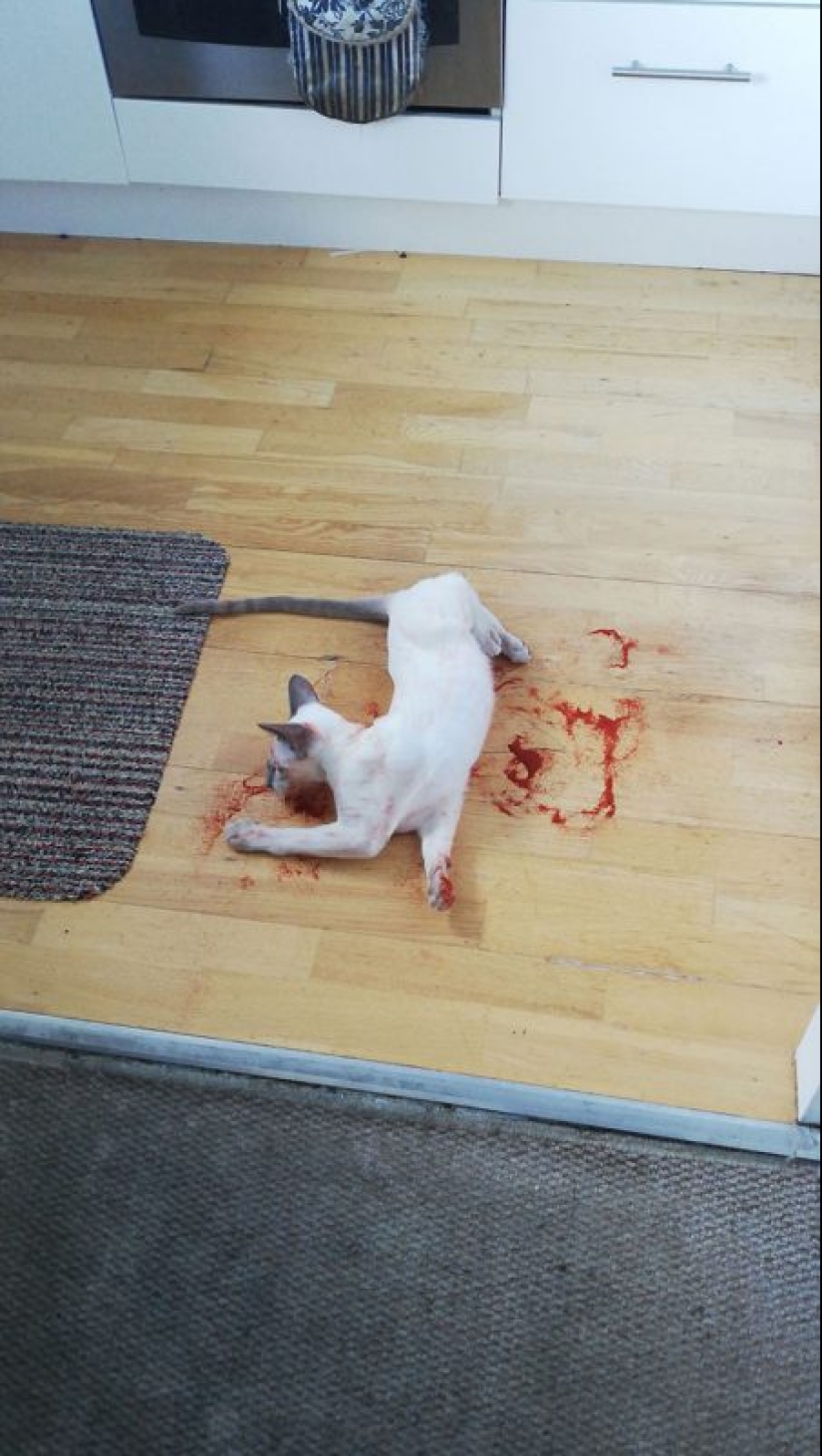 25 innocent things that almost caused a heart attack