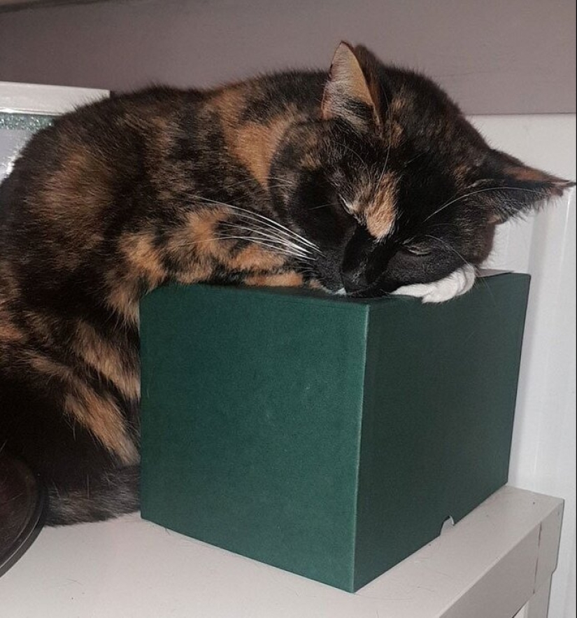 25 kind and touching stories that will brighten your soul 25 kind and touching stories that will brighten your soul