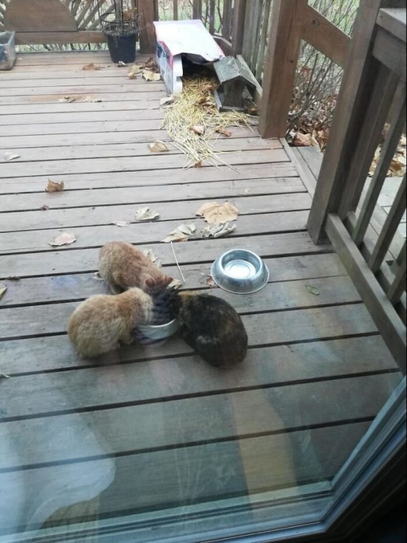 25 kind and touching stories that will brighten your soul 25 kind and touching stories that will brighten your soul