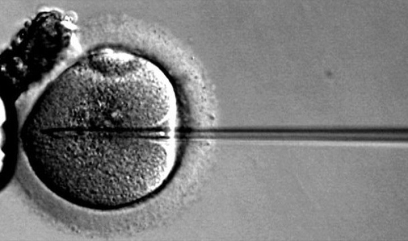 25 libros que predijeron correctamente el futuro 25 libros que predijeron correctamente el futuro