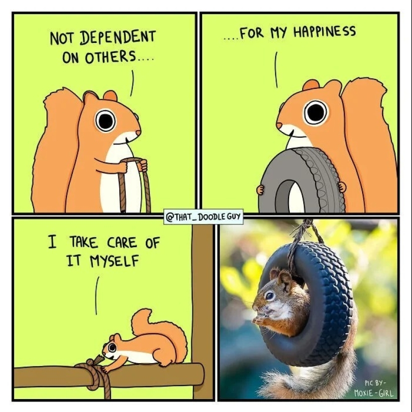 25 lindos cómics basados en memes fotográficos sobre animales 25 lindos cómics basados en memes fotográficos sobre animales