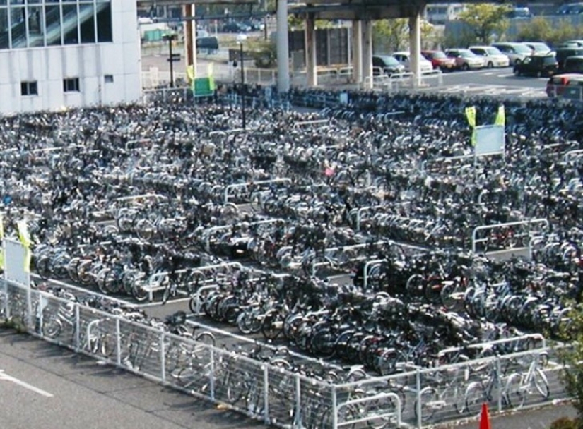 25 loco que sólo se puede encontrar en Japón 25 loco que sólo se puede encontrar en Japón