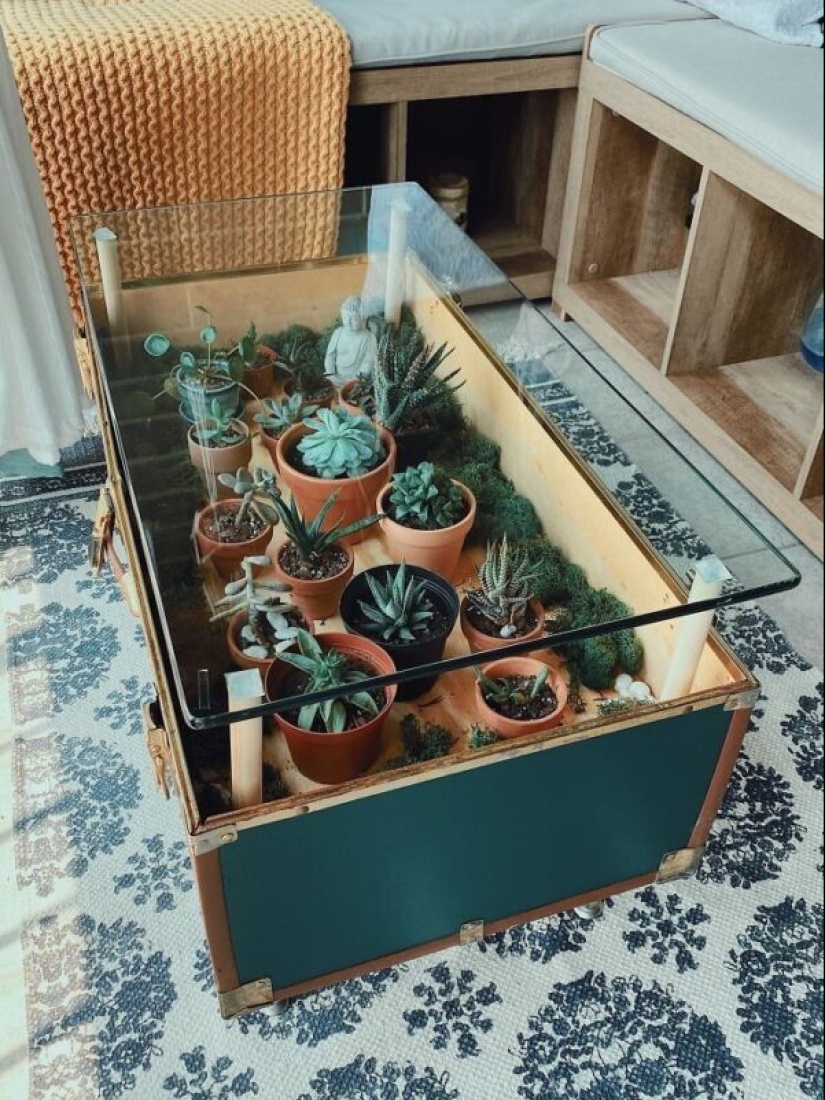 25 mesas con "jardines" de suculentas 25 mesas con "jardines" de suculentas