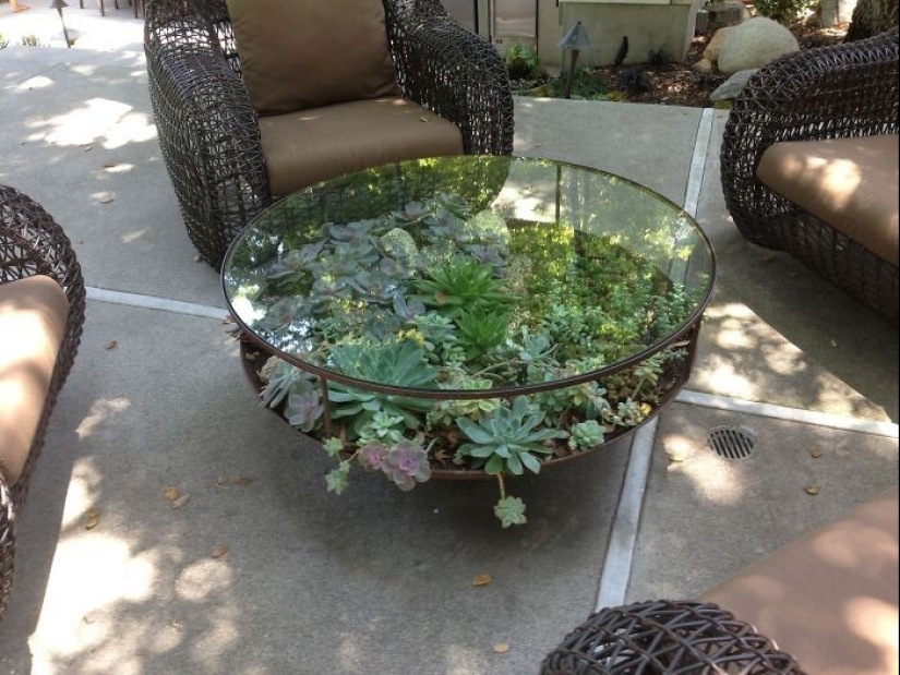 25 mesas con "jardines" de suculentas 25 mesas con "jardines" de suculentas