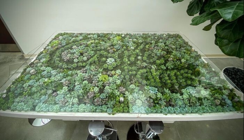 25 mesas con "jardines" de suculentas 25 mesas con "jardines" de suculentas