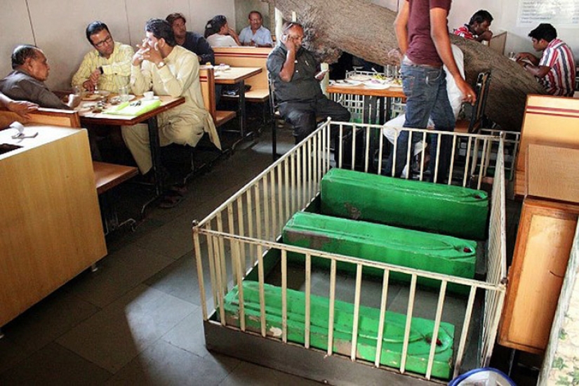 25 most amazing restaurants from around the world