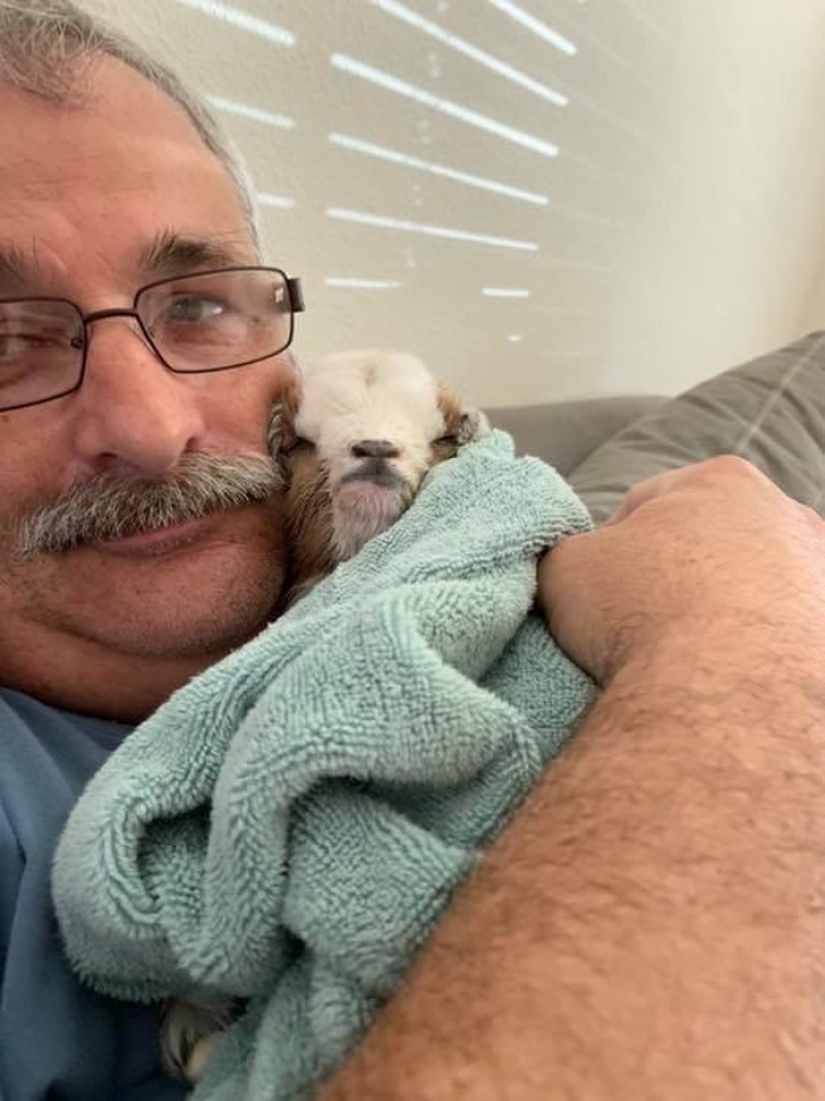 25 mullidas y lindas pruebas de que las cabras bebé pueden eclipsar a los gatitos y cachorros con su dulzura