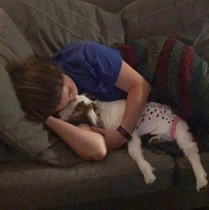 25 mullidas y lindas pruebas de que las cabras bebé pueden eclipsar a los gatitos y cachorros con su dulzura