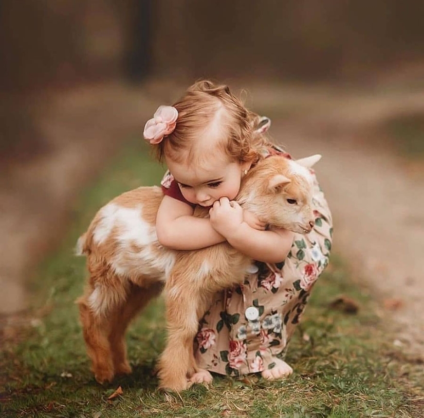 25 mullidas y lindas pruebas de que las cabras bebé pueden eclipsar a los gatitos y cachorros con su dulzura