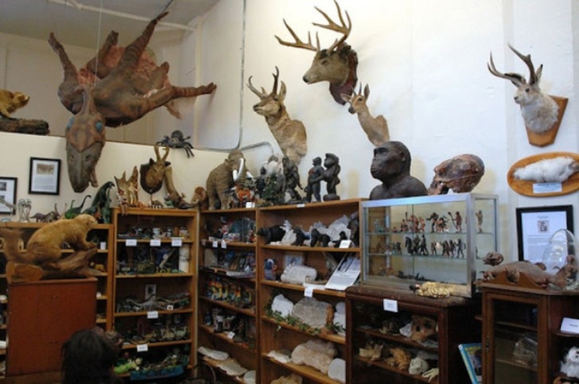25 of the World's Weirdest Museums