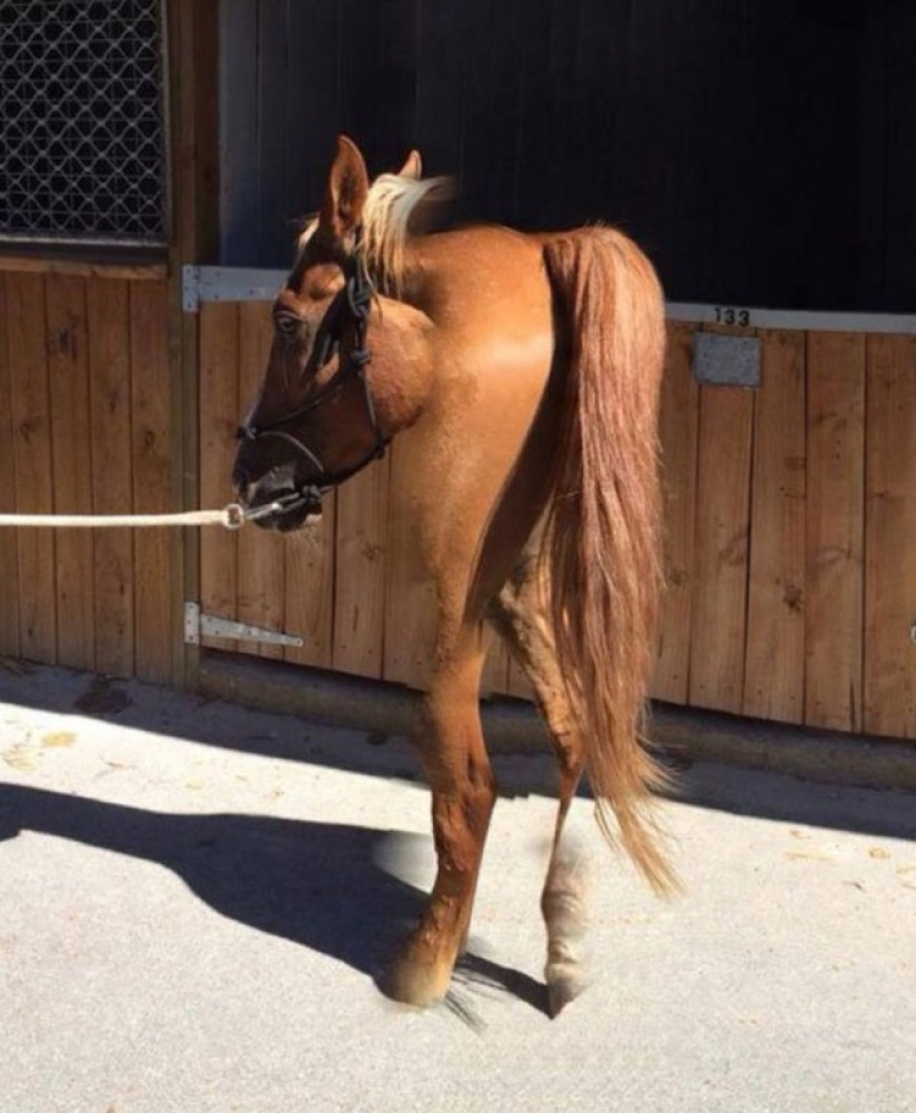 25 of the worst sights in the world