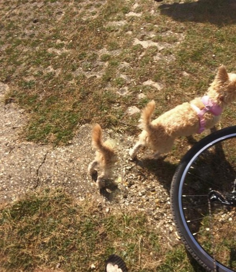 25 of the worst sights in the world