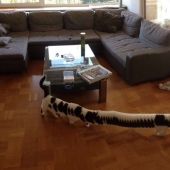 25 of the worst sights in the world