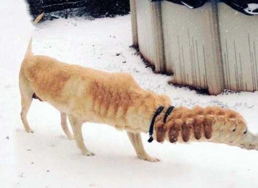 25 of the worst sights in the world