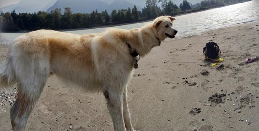 25 of the worst sights in the world