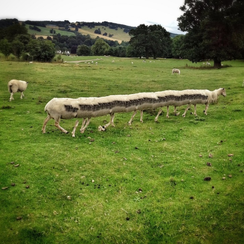 25 of the worst sights in the world