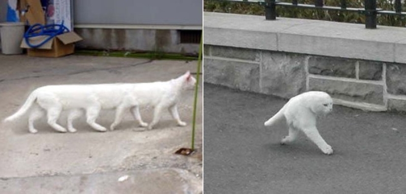 25 of the worst sights in the world