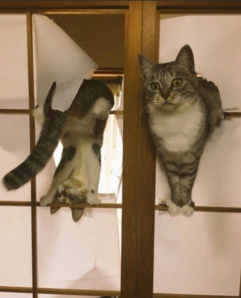 25 people who made irreversible mistakes and laughed at themselves 25 people who made irreversible mistakes and laughed at themselves